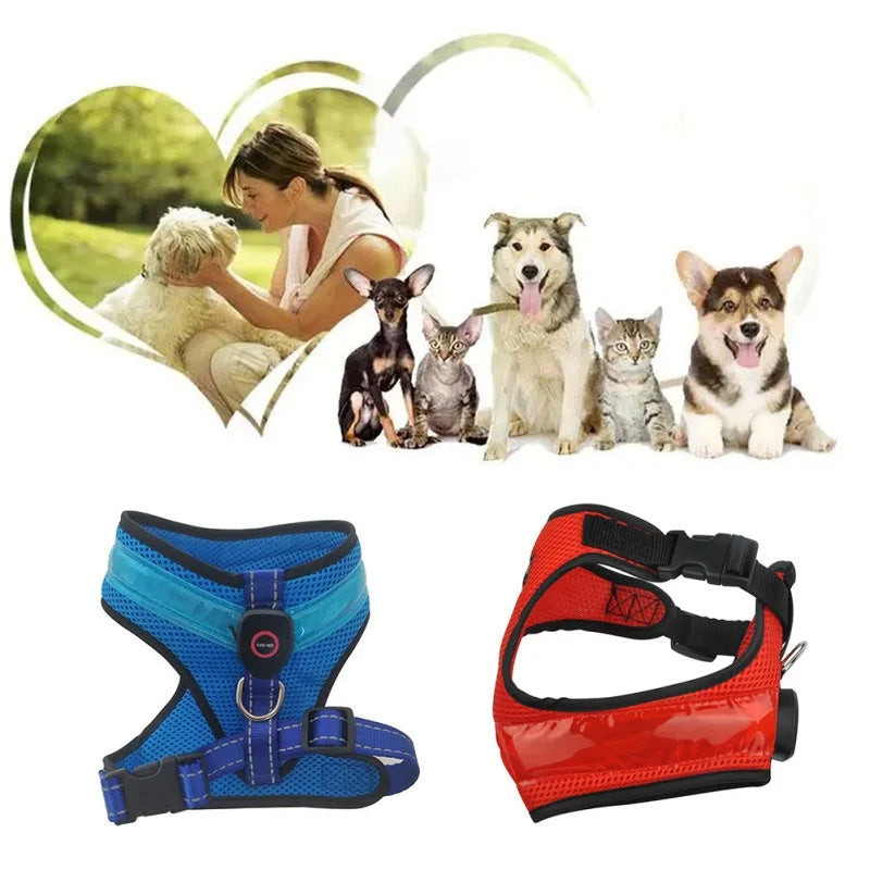 Harnais lumineux à LED pour chien avec chargement USB et sangle de poitrine pour chien, gilet de sécurité réfléchissant pour animaux de compagnie, gilet pour chiot, grand chien, produits pour animaux de compagnie